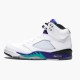 136027-108 Jordan 5 Retro Grape (2013) Pánské Boty