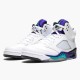 136027-108 Jordan 5 Retro Grape (2013) Pánské Boty